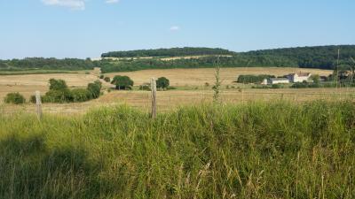 Burgund Ausblick