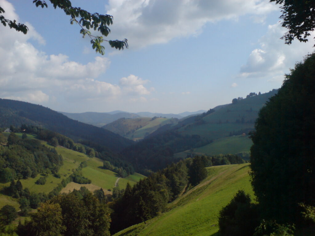 zwischen Belchen und Notschrei